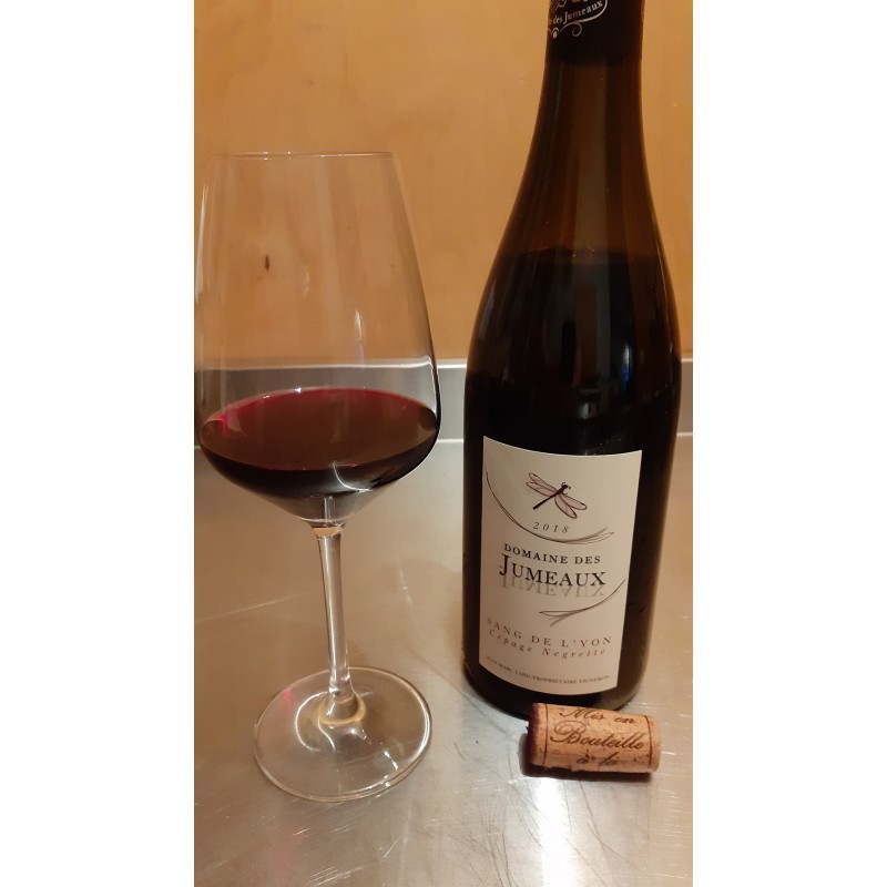 Ekologiškas raudonasis Domaine des Jumeaux vynas LE SANG DE L'YON 2018