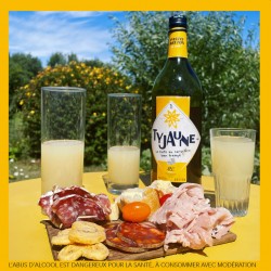 Pastis_Breton_Ty_Jaune_45%_70cl