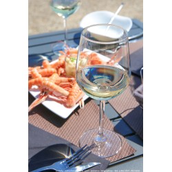 Loctudy - restaurant - terrasse - port - plaisance - langoustines -  été - juillet 2021 - ©E Cléret