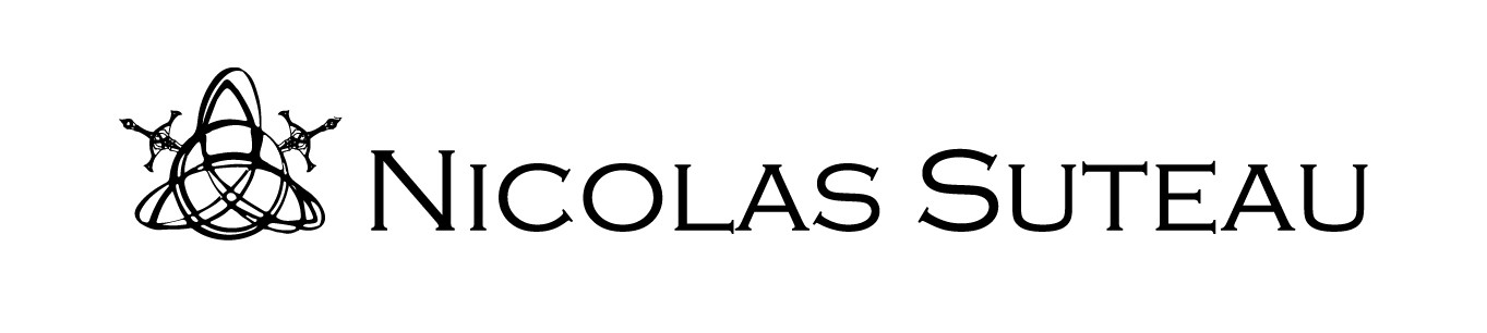 Nicolas SUTEAU